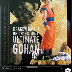 Anime Figurines